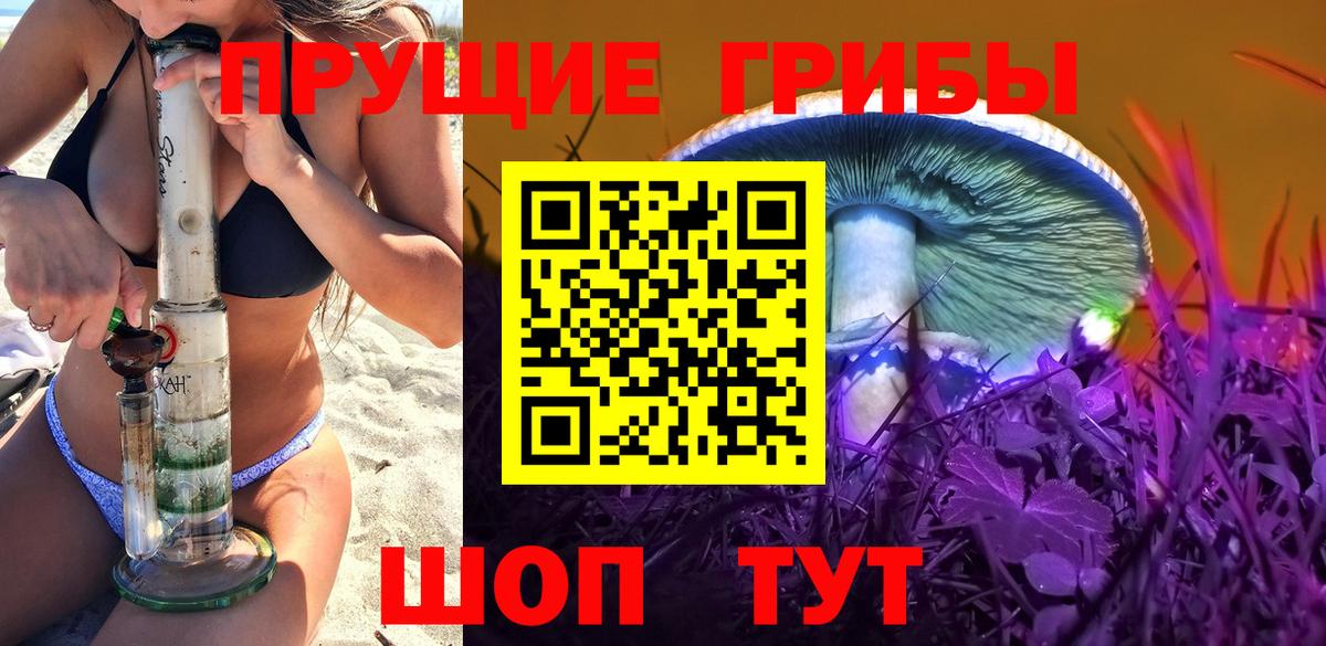 Псилоцибиновые грибы Psilocybe  Вход с VPN  Ливны 